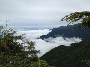 20140624124424422