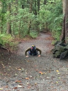 着くやいなや、腕立て伏せをしてくれました。