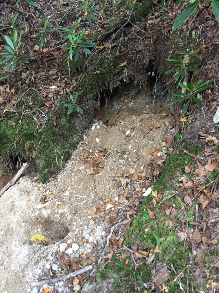 水晶どろぼうさんが掘ったと思われる跡。