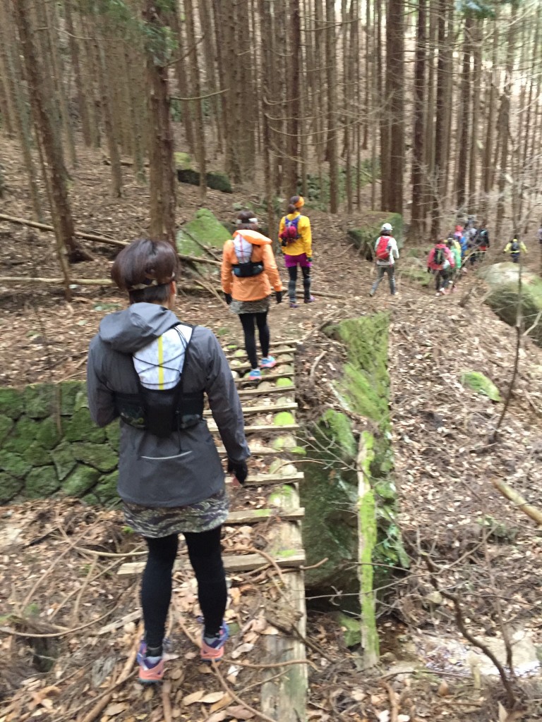 ちょっぴりスリリングな橋があちこちに。