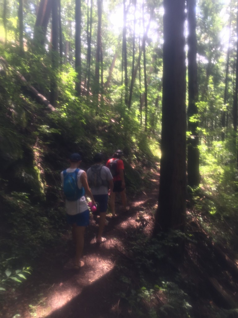 北山野道 小松の里散策！！_1033
