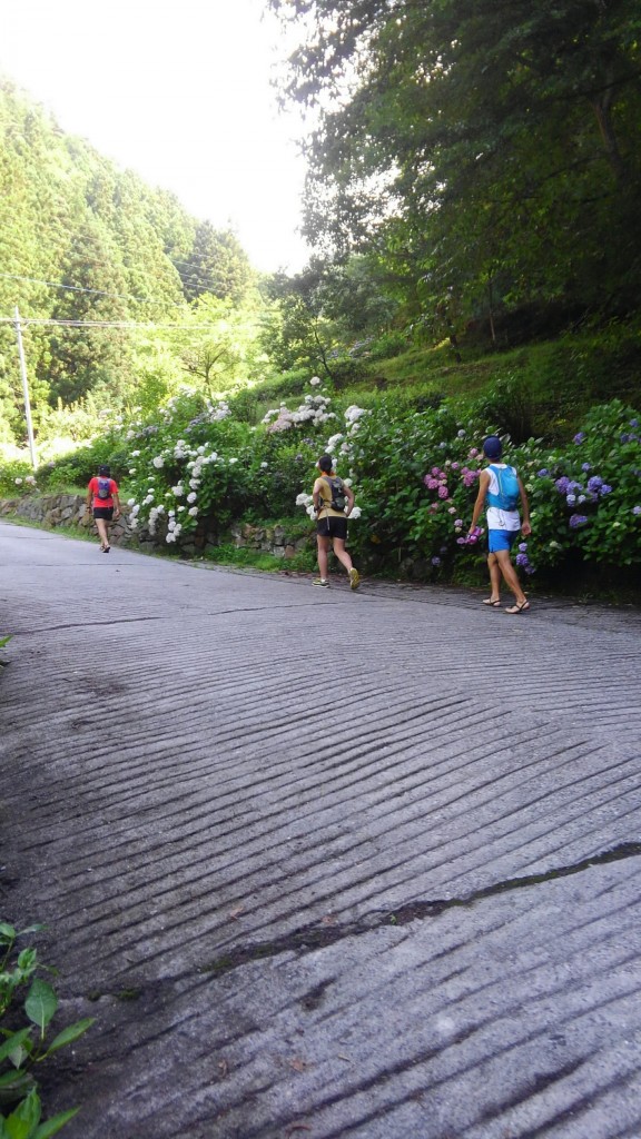 北山野道 小松の里散策！！_4946