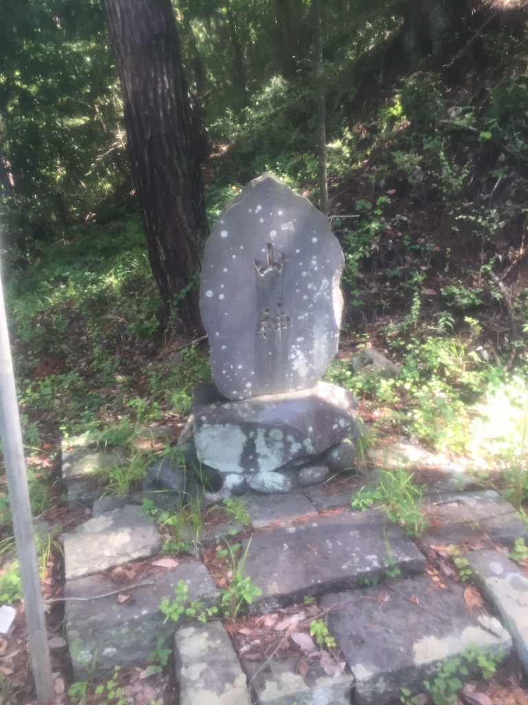 北山野道 小松の里散策！！_7891