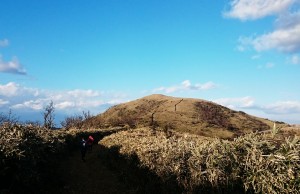 img_20161230_232307