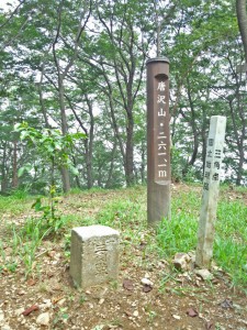 唐沢山頂上三角点