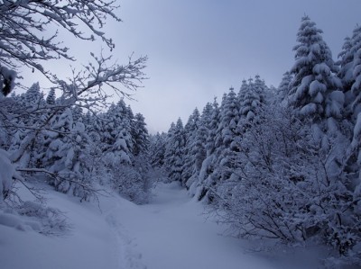 2日目朝。降り積もった雪が深いけど、止んでくれました!