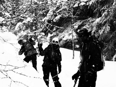 深々と降る雪