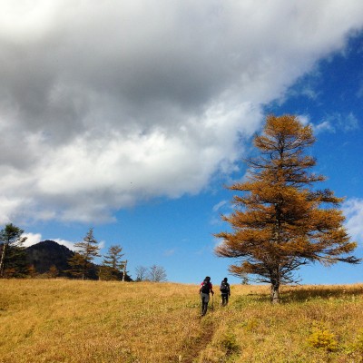 話しは山に戻ります。多摩川源流を見た後は、奥秩父主脈縦走へ。秋晴れの山の景色が素晴らしい。