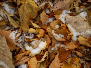 20131229-175942.jpg