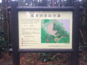 IMG_3351[1]
