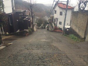 IMG_3361[1]