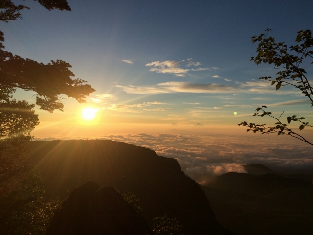IMG_2381 (800x600) (640x480)