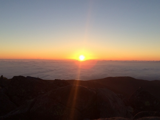 IMG_2495 (800x600) (640x480)