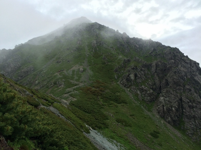 IMG_1130 (640x480)