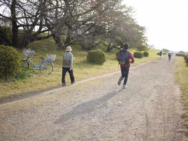 P1290911