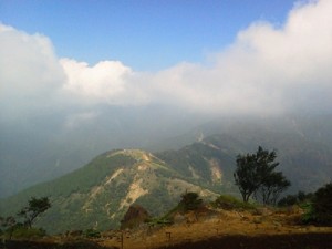 NEC_0080