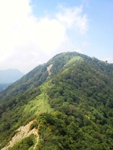 NEC_0092