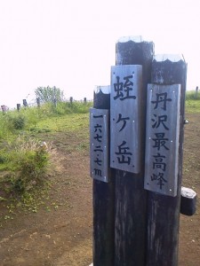 NEC_0096