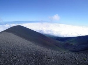 IMG_0503_2