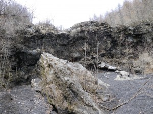 IMG_0614