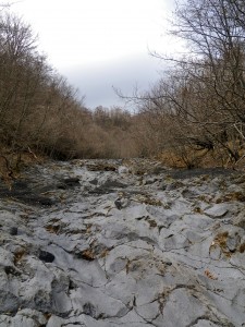 IMG_0812