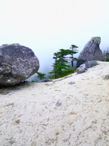 sainogawa