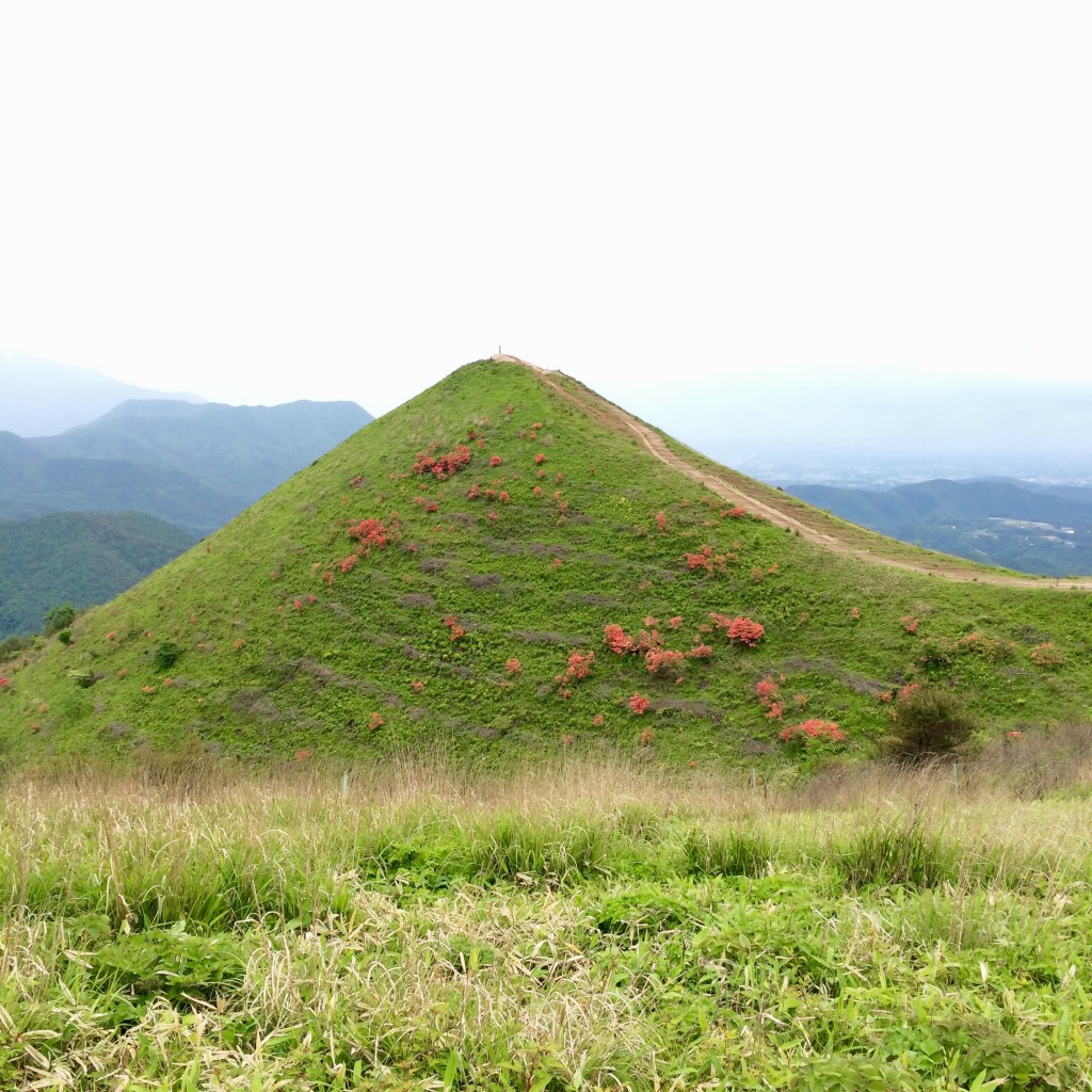 最後の山となる飯を盛ったような飯盛山、ツツジが咲きお花畑のようでした。登山道にはマットがあり、徹底した植生保護がされている。ランナーもシューズを洗うまでがトレラン!!