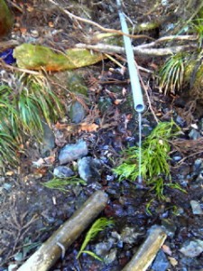 ハセツネの水場は、凍結してませんでした。
