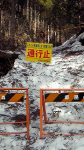 都民の森：鞘口峠への登山道入り口