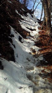 三頭山登山道：頂上近く