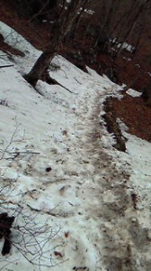 大岳山から御岳山へ