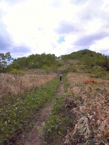 レース最高地点の手前だっけ？累積標高があるわりにそんなにキツイ登りはない印象