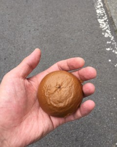 お情けなのか、温泉まんじゅう、もらったYO!