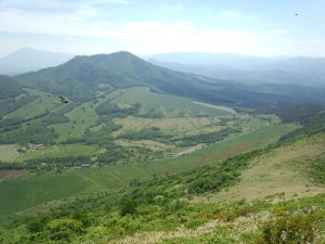IMG_20130610_132820349
