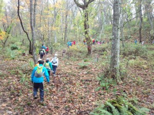 IMG_20131027_123300618