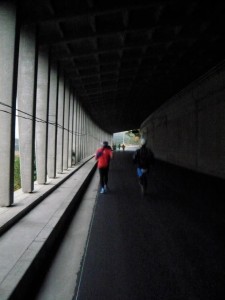 前半はこのようなスノーシェッドを何回か通ります。今回は雨よけになりました。