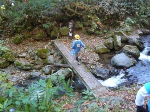 こらボク危ないぞ！（去年の写真です）