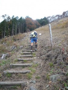 木段も多い