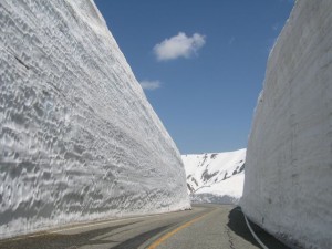 雪が嫌いだから田舎のこの景色も生で見た事ありません