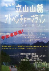 こんな大会も良さそうです。
