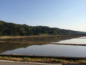田植え前の水田の写り込みが美しい