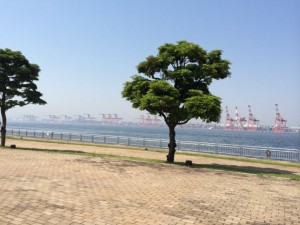 お台場暑い