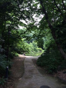 三四郎池の回りはトレイル
