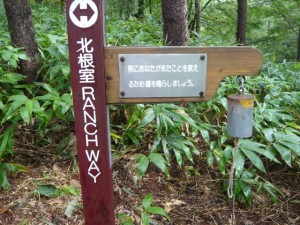 ランチウェイ初日 - 20