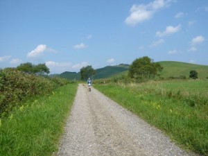 モアン山の下山後の林道