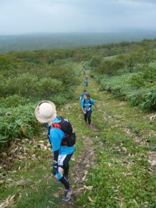 目指せ山頂