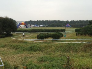 都会のオアシス