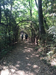 この日は熱い1日でしたが、樹が生い茂ってるので、涼しくて快適でした。