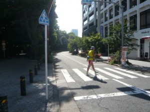 さあ新宿御苑まできましたゴールCOCOさくらのでの写真はなぜかありません