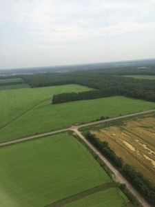 釧路大地の特徴的な格子状防風林の眺め